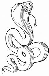 Cobra Snake Drawing Coloring Pages King Getdrawings sketch template