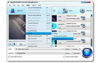 Bigasoft WebM Converter screenshot #6