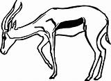 Antelope Coloring Drawing Pages Animal Getdrawings Printable Color Getcolorings sketch template