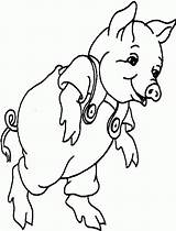 Varken Pigs Schwein Coloriages Babi Mewarnai Porc Kleurplaat Cerdo Schweine Animasi Ausmalbild Bergerak Animierte Animaatjes Peppa Maiali Triazs 1912 Malvorlagen1001 sketch template