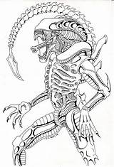 Xenomorph Predator Aliens Scary Colorare Xenomorfo Disegni 1856 Comission Draws Espejo Ission öffnen Biagini Terminator Judgement sketch template