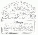 Disney Coloring Kingdom Animal Tree Life Pages Clipart Kids Walt Magic Drawing Book Safari Activity Florida Printable Epcot Cliparts Parks sketch template