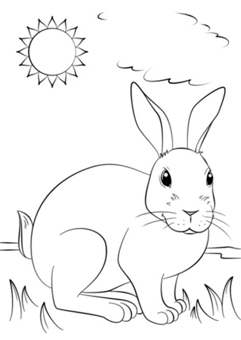 gambar cute rabbit coloring page  printable pages click version