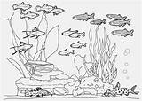 Aquarium Fish Tank Coloring Pages Sketch Drawing Printable Color Kids Print Paintingvalley Getcolorings sketch template