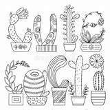 Cactus Linear Contour Scribble Sveglio Coloritura Vettore Lineare Colorare Immag sketch template