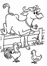 Vache Cour Coloriage Animaux Ferme Colorier Coloriages Hugolescargot Dyr Fargelegging Dyretegninger Vaches Tegneark Djur Enfant Dessiner Pages Hugo sketch template