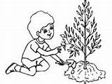 Earth Coloring Pages Save Tree Planting Trees Comments sketch template