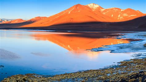 sunrise  laguna colorada bolivian altiplano andes bolivia windows spotlight images