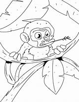 Monkey Coloring Pages Baby Printable Tree Kids Animals Jungle Color Sheets Print Hellokids Wild Sock Animal Cartoon sketch template