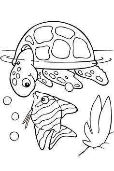 top   printable sea animals coloring pages  turtle
