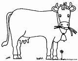 Vache Vaca Vacas Mucca Colorat Vacuta Imagini Colorare Juegan Divierten Aprenden Planse Kuh Vitel Ausmalbild Gratuit Coloriages Fisa Plansa Coloring sketch template