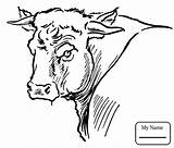 Bull Coloring Pages Bucking Drawing Red Dibujos Color Print Rodeo Bulls Para Logo Portait Riding Getdrawings Infantiles Toros Colorear Cattle sketch template