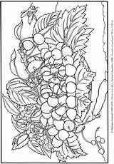 Coloring Pages Still Life Dover Paintings Adult Publications Doverpublications Own Color sketch template