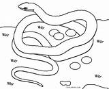 Snake Pages Coloring Color Printable Kids sketch template