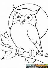 Coloring Mykinglist Owls Getdrawings sketch template