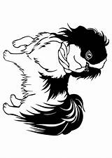 Tzu Shih Coloriage Hond sketch template