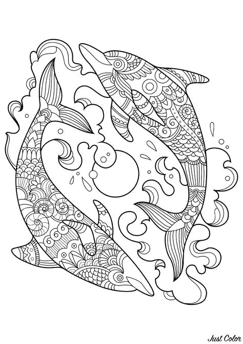 funny dolphins coloring page whale coloring pages dolphin coloring pages mandala coloring pages