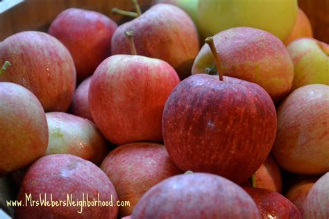 crockpot applesauce recipe  michigan apples  webers