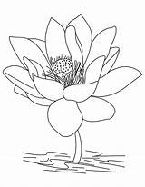 Lotus Coloring Flower Pages Jasmine Color Drawing Pencil Printable Getcolorings Getdrawings Mandala sketch template
