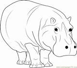 Hippopotamus Coloring Walking Pages Coloringpages101 Kids Color Online sketch template