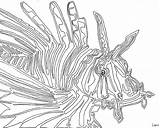 Coloring Lionfish Fish Line Lion Continuous Drawing Pages Clipart Library Rainbow Costume Contour Colouring Template Getcolorings Getdrawings Outline Sketch sketch template