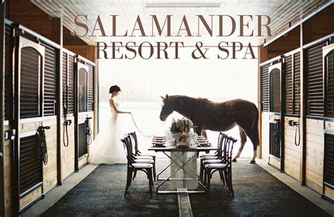 salamander resort spa  virginias   inclusive wedding