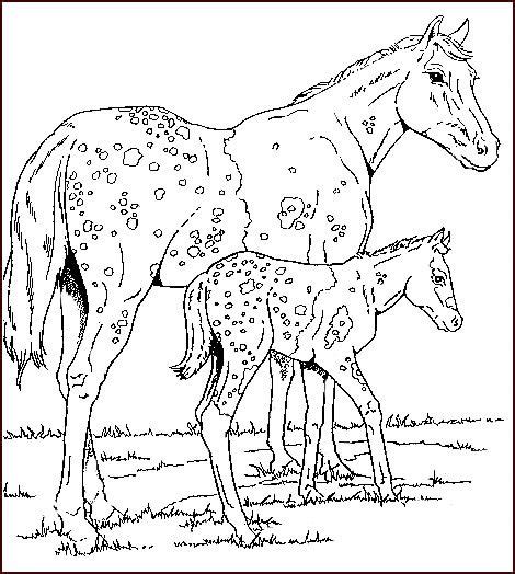 horses horse coloring books horse coloring pages horse coloring