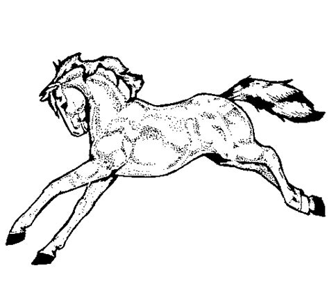 horse running coloring page coloringcrewcom