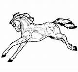 Corriendo Caballo Caballos Correr Corsa Cavallo Cavalo Cheval Calcar Acolore sketch template