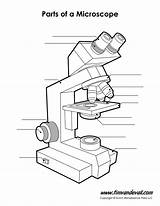 Microscope Unlabeled Labeled Compound Worksheet Worksheets Timvandevall Blanks Microscopio Test Biologie Mikroskop Mikroskopieren Zellaufbau Laboratorio Pintar Aufbau Sus Sponsored sketch template