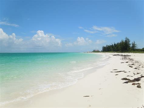 visit cayo guillermo  travel guide  cayo guillermo province