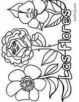 Colorear Naturaleza Calcar Hellokids Infantiles Amapola Yodibujo N5n sketch template