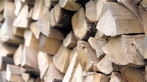 result images  identifying  types  firewood png image collection