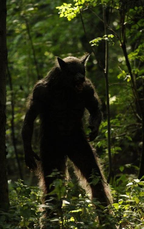 Big foot sex stories