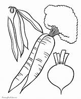 Warzywa Owoce Kolorowanki Fruits Vegetable Druku Dzieci Colorir Legumes Coloringhome Verduras sketch template