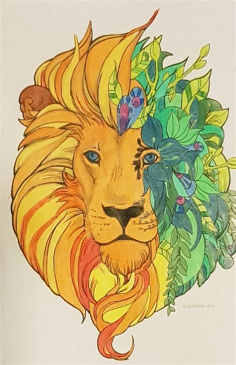 lion coloring pages  adults  colored printable coloring