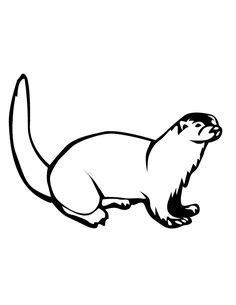 otter coloring pages animal coloring pages otters coloring pages