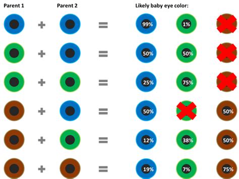 baby eye color prediction