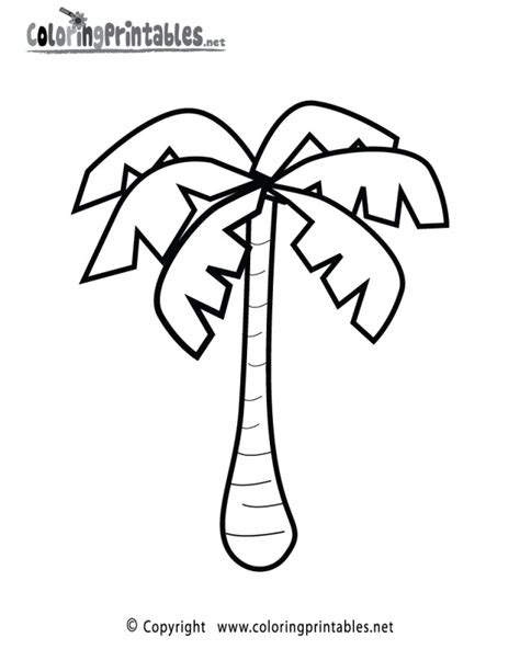 awesome image  palm tree coloring page davemelillocom