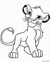 Simba Coloriage Leone Stampare Leoni Imprimer Recherche Résultat Dessins Piccolo Cartone Animato Lio Gratis sketch template