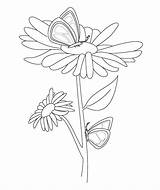 Coloring Pages Floral Botanical Printable Print sketch template