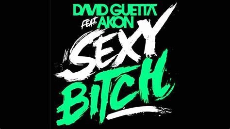 David Guetta Sexy Bitch Youtube