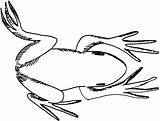 Frog Getdrawings Jump sketch template