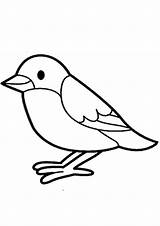 Vogel Ausdrucken Malvorlagen Vögel sketch template
