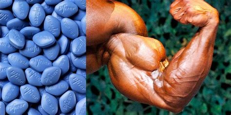 some facts about viagra steroids squmj