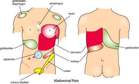 Upper Right Abdominal Pain By Telman Blog Entry