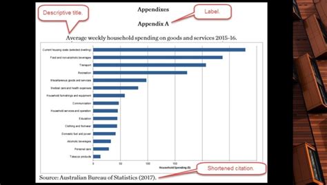 structure  appendix section  reports  examples