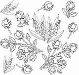 Fleurs Coloriage Coloriages Bloemen Boeket Rosen Blumen Ausmalen Adultes Muguets Mandala Colorier Takashi Murakami Lilies sketch template