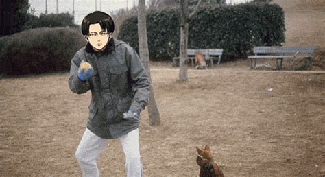Funny Snk S Find And Share On Giphy