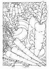Kleurplaat Groenten Colorare Verdure Verduras Colorear Warzywa Kolorowanki Vegetables Wydrukowania Dover Educolor Educima Dibujos Groente доску выбрать Kleurplaten Schoolplaten Grote sketch template